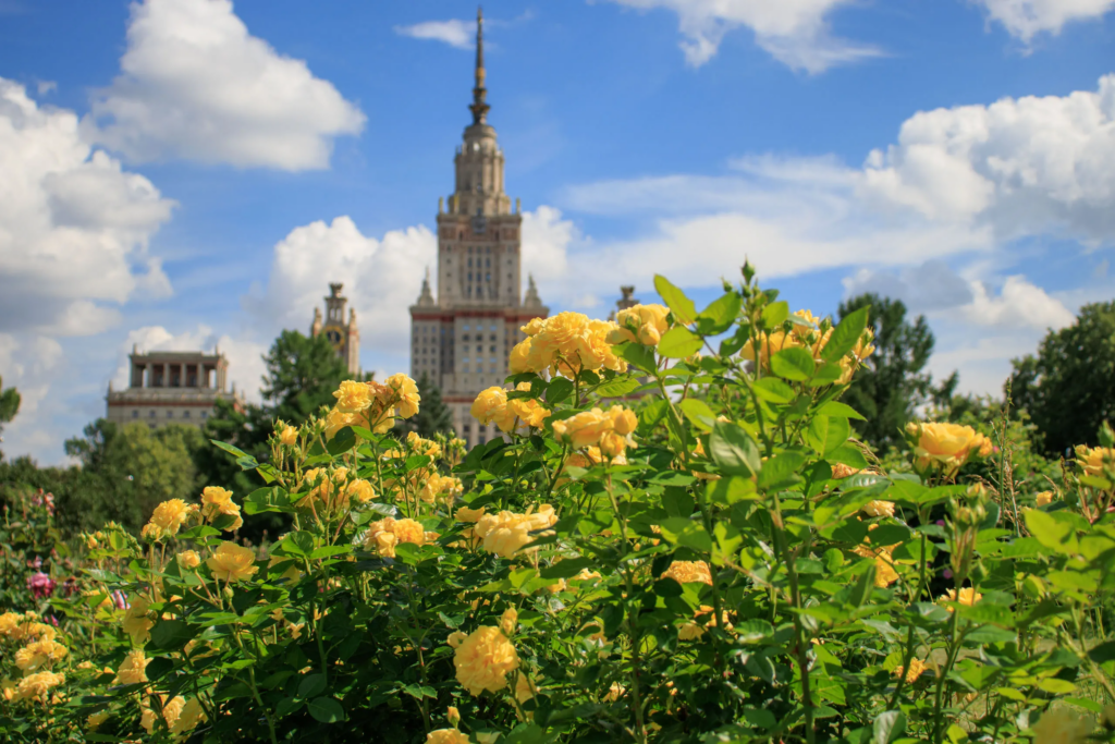 21-26 июня 2026 г. пройдет конференция «Коллекции живых растений, научные исследования и образование в ботанических садах: традиции и современность»